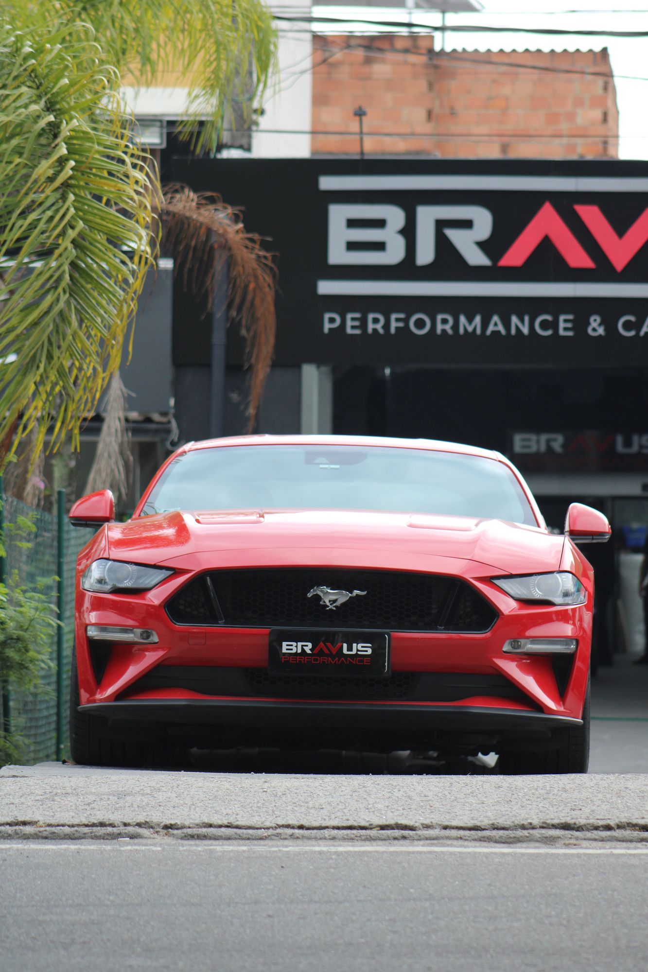 Ford Mustang na Bravus